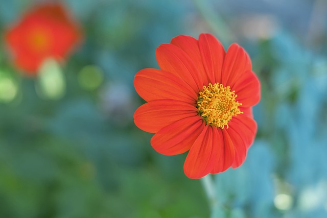 無論是球迷 無論是球迷