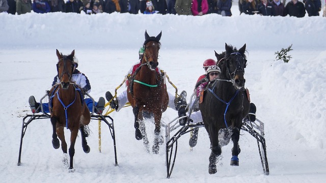 在他们的带 在他们的带