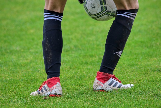 态是面对未 态是面对未