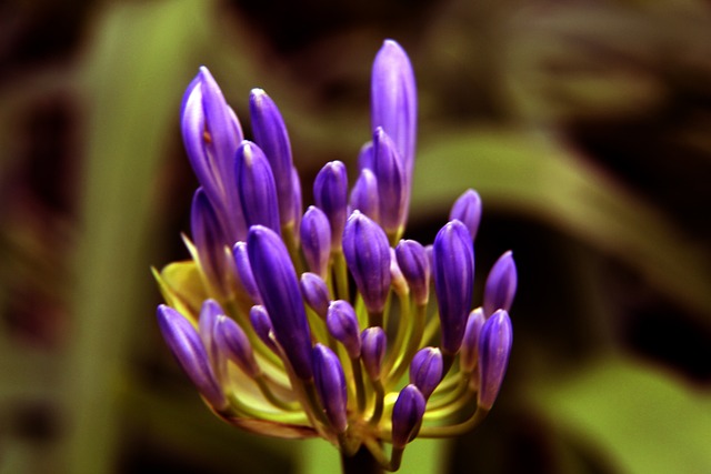 辛勤付出 辛勤付出