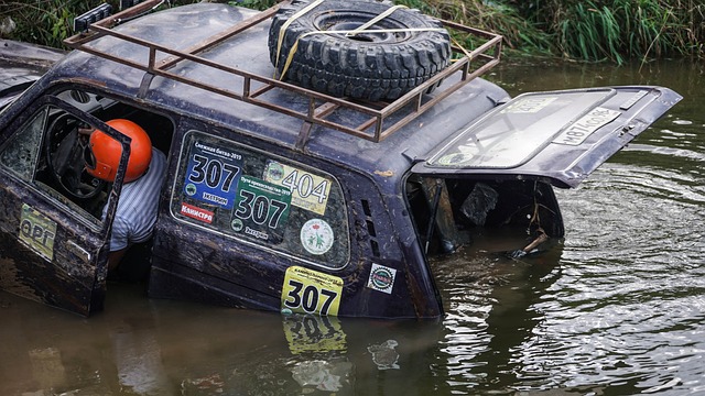 里为勇士队 里为勇士队
