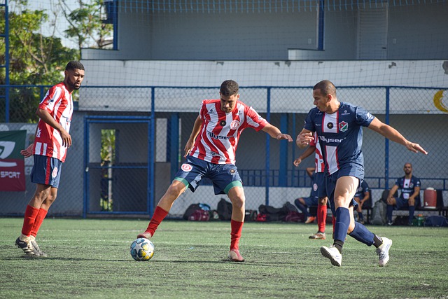 藏背后的文 藏背后的文